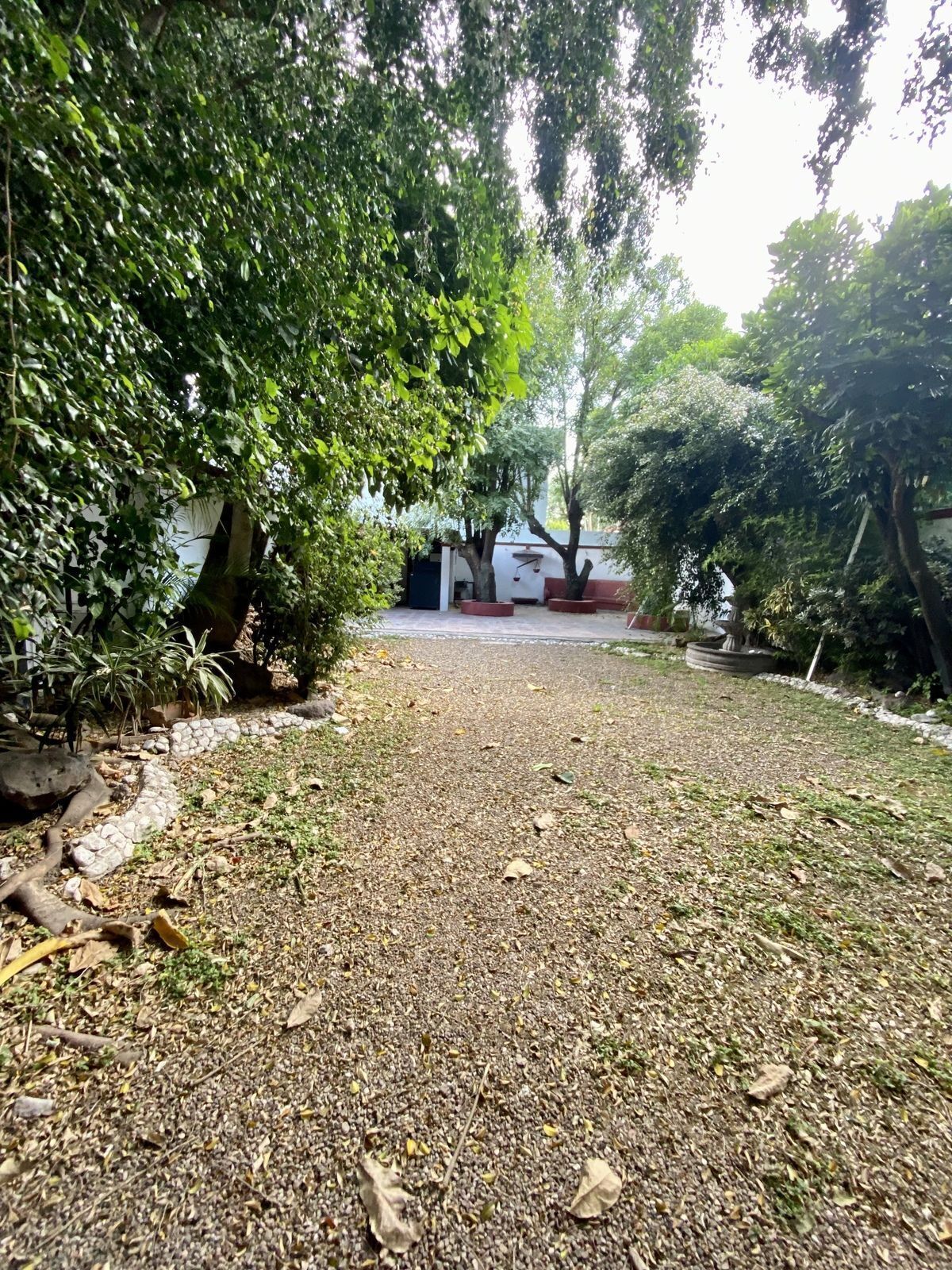 31 de 50