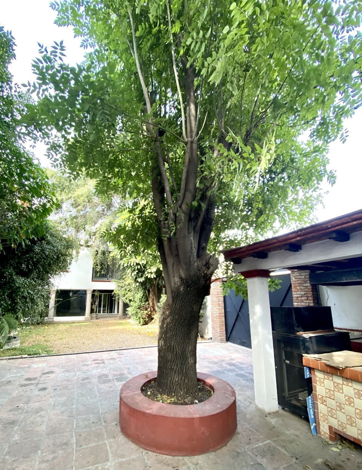 34 de 50
