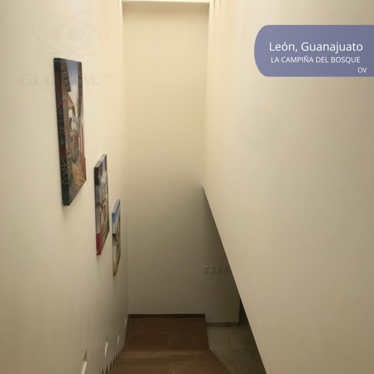 14 de 39