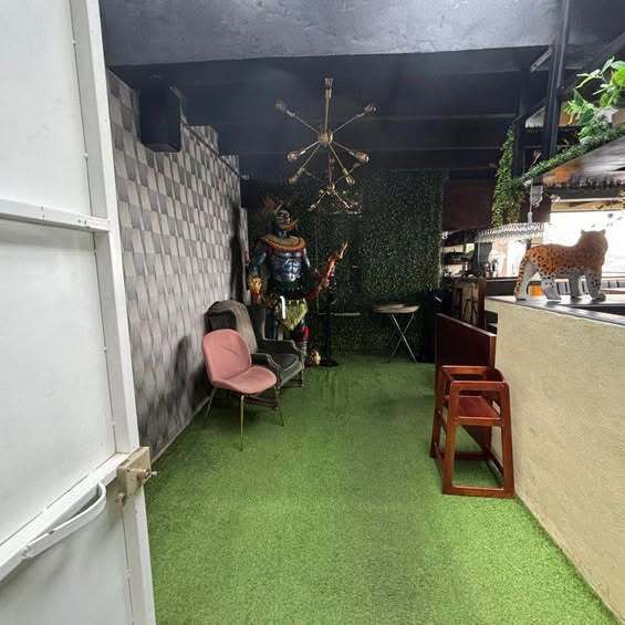15 de 19