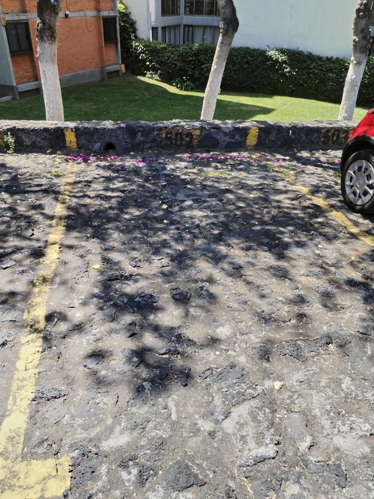 1 de 12