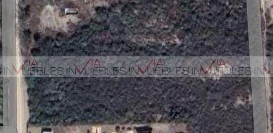 Imagen 8 de 8