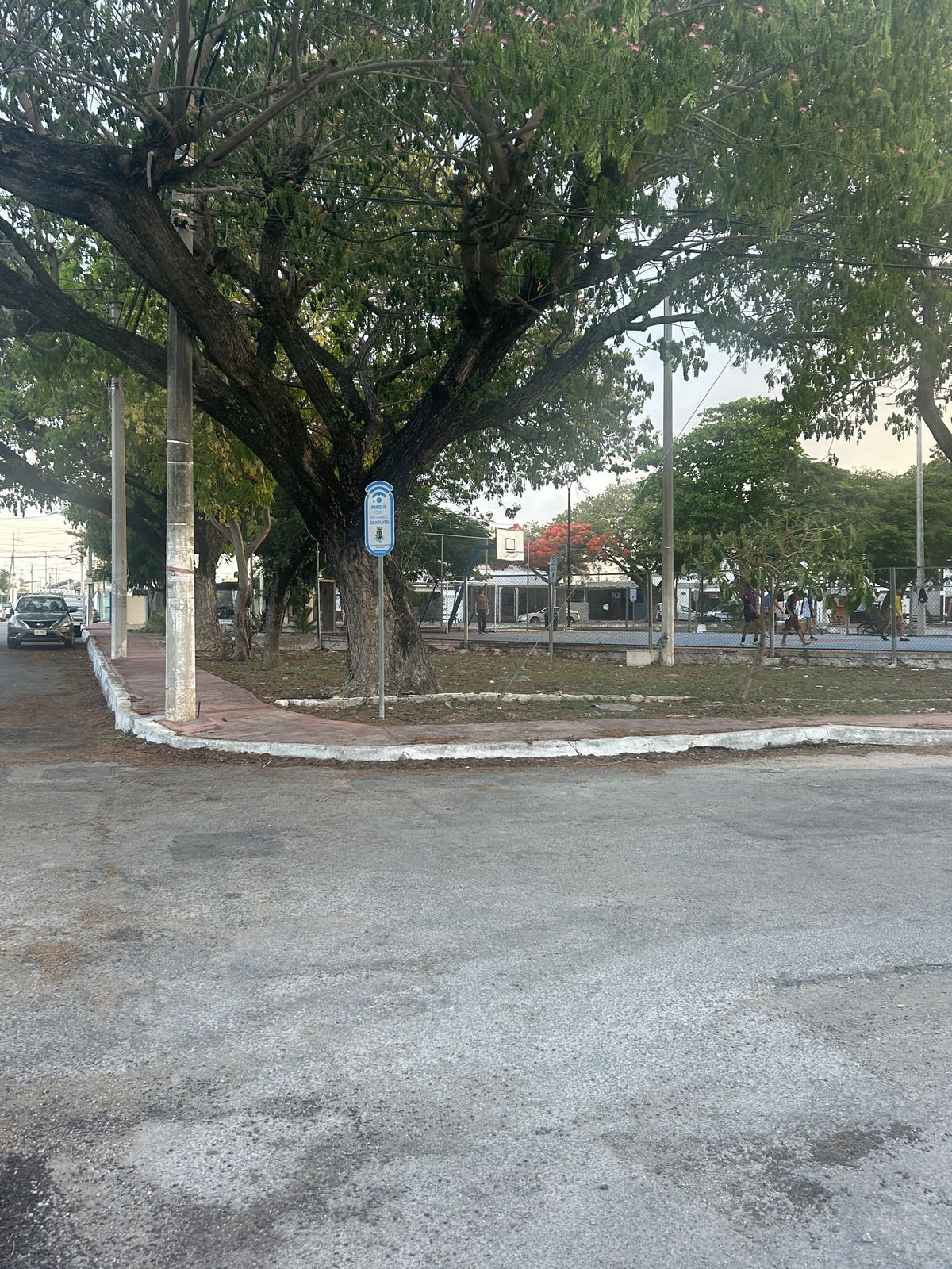 14 de 15