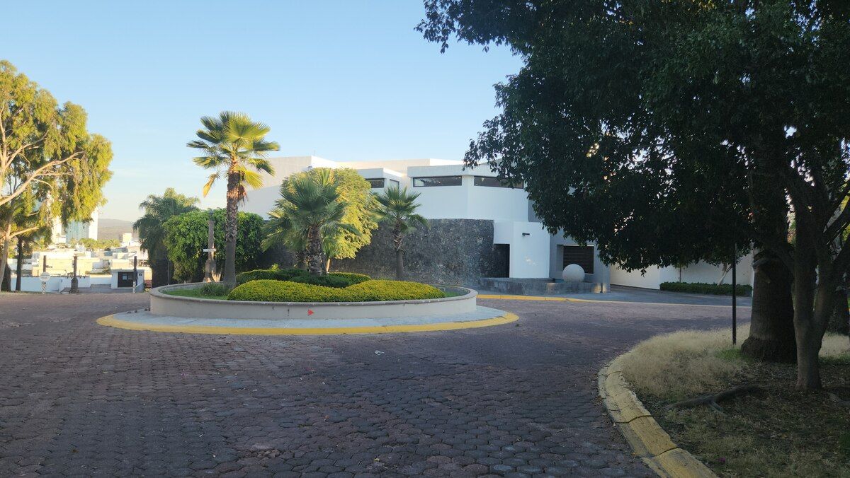 6 de 17