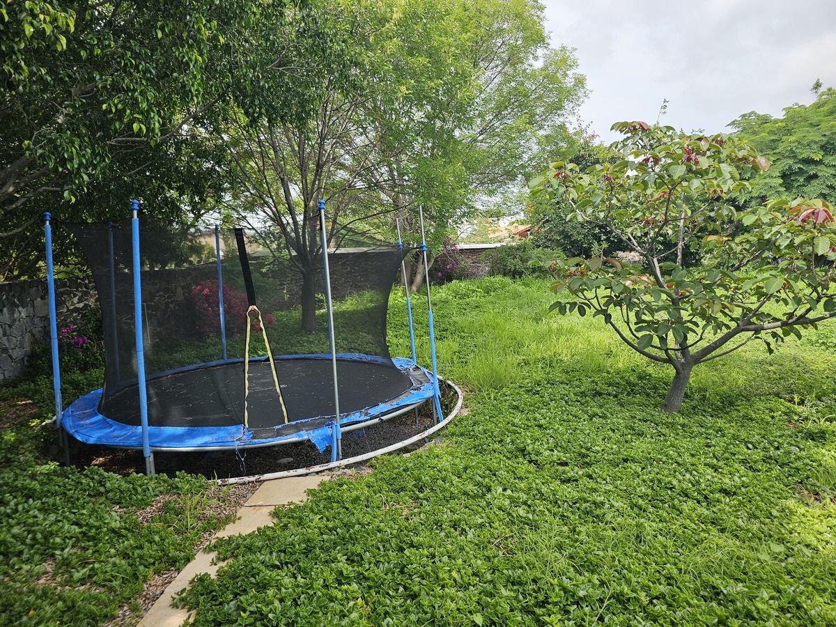 5 de 17