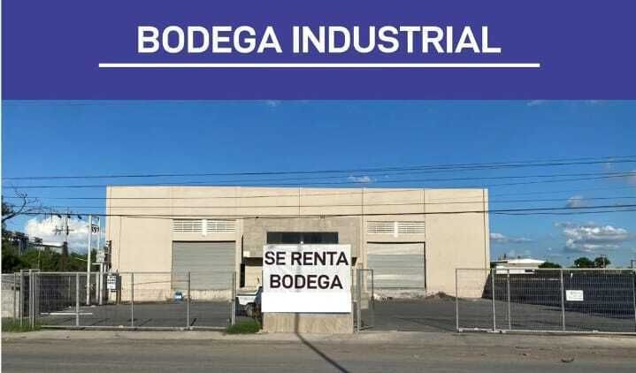 4 de 15
