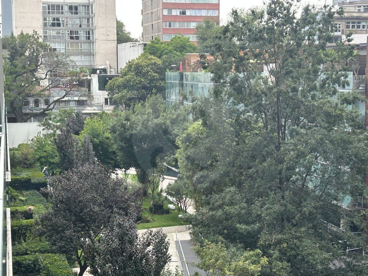 25 de 25