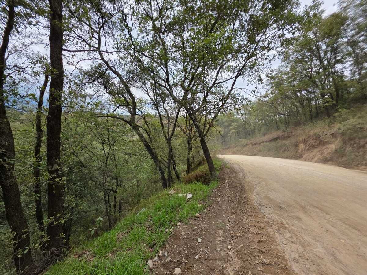 2 de 6