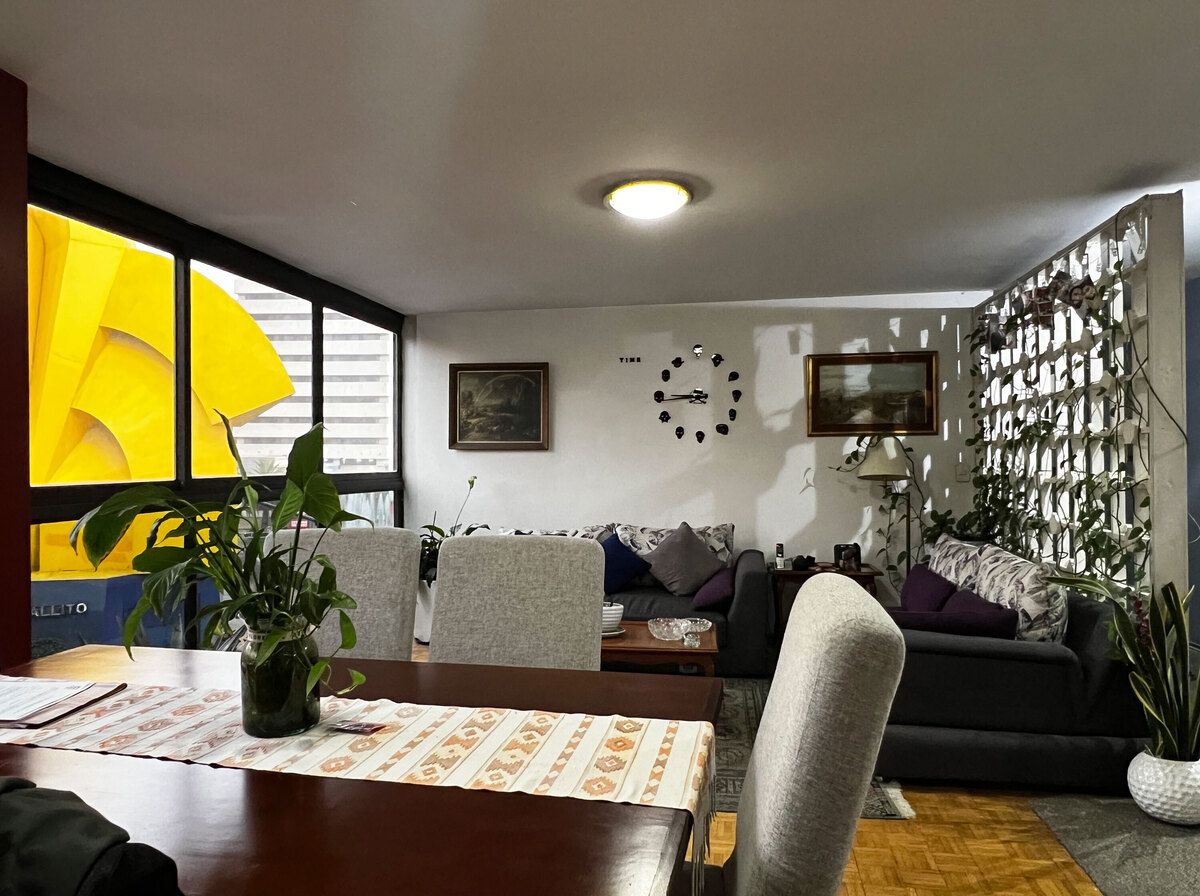 1 de 24