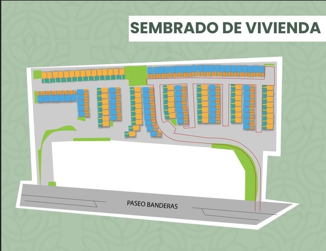 5 de 6