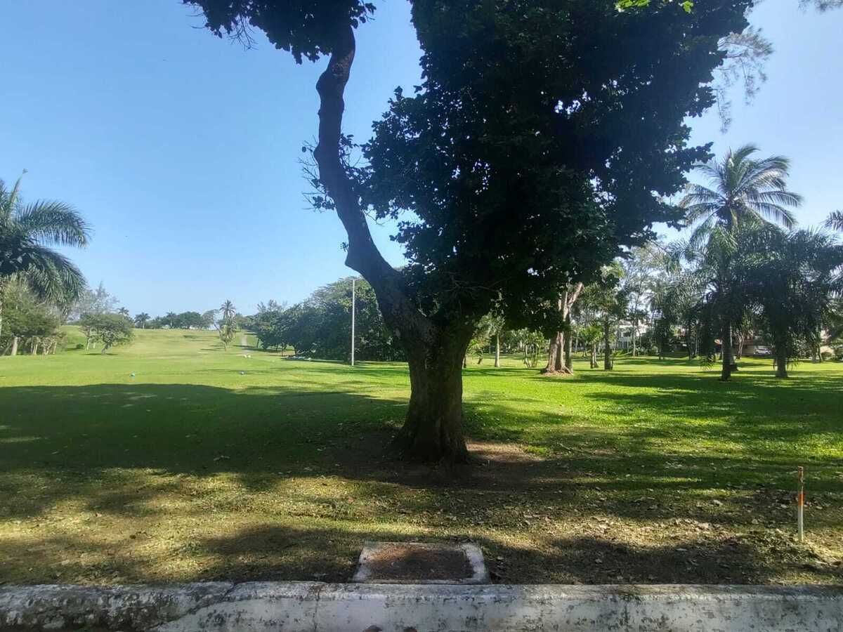 4 de 10