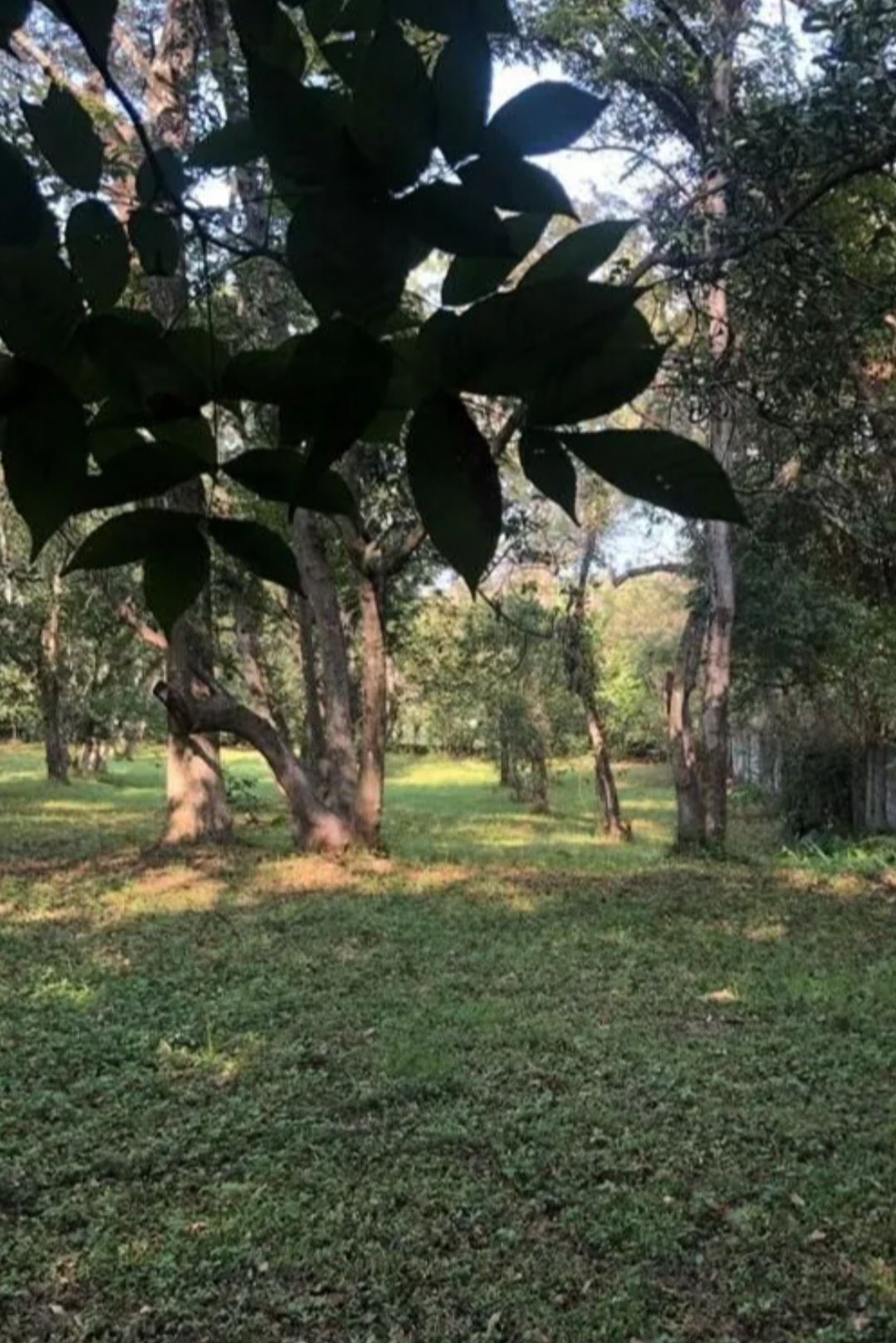 1 de 3