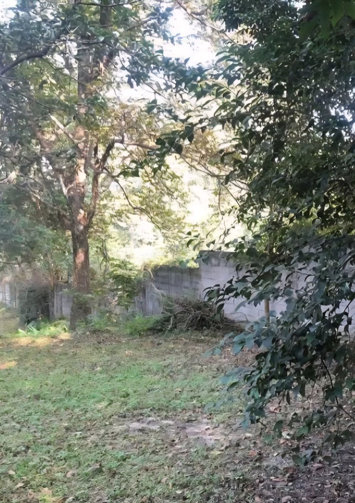 2 de 3