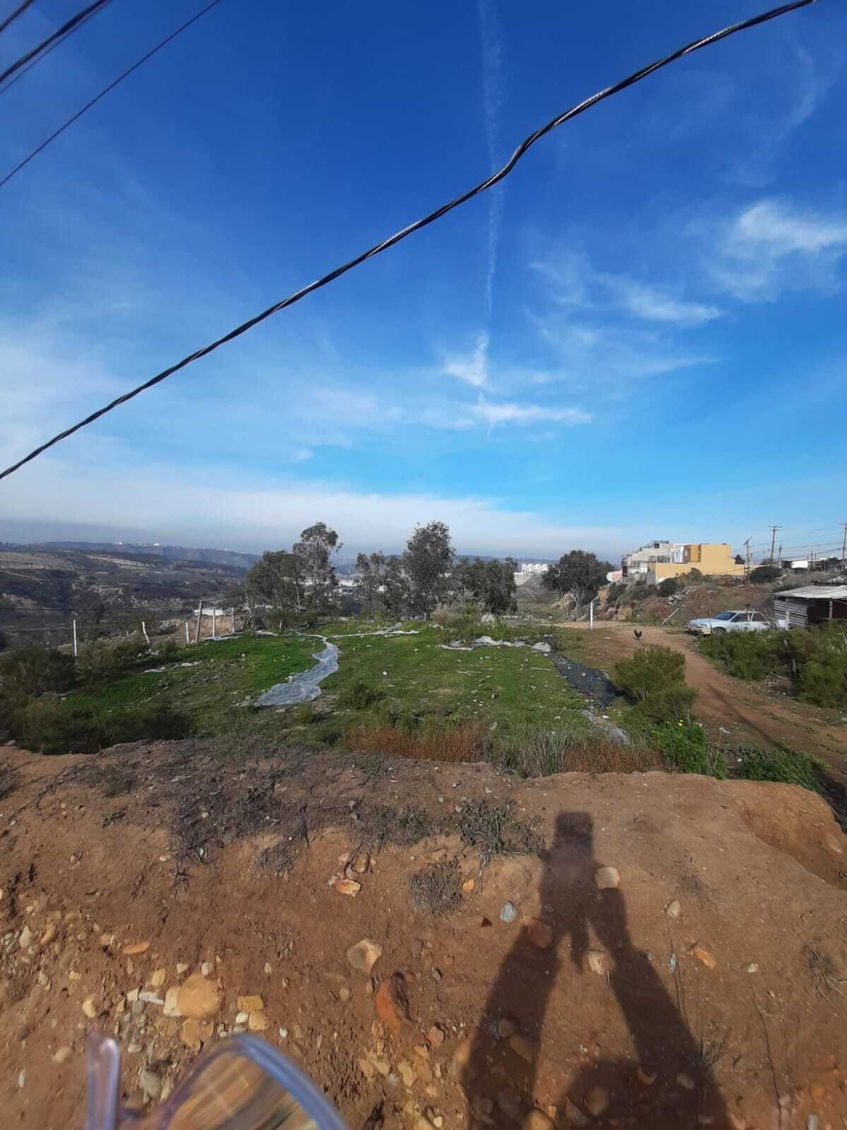 3 de 8