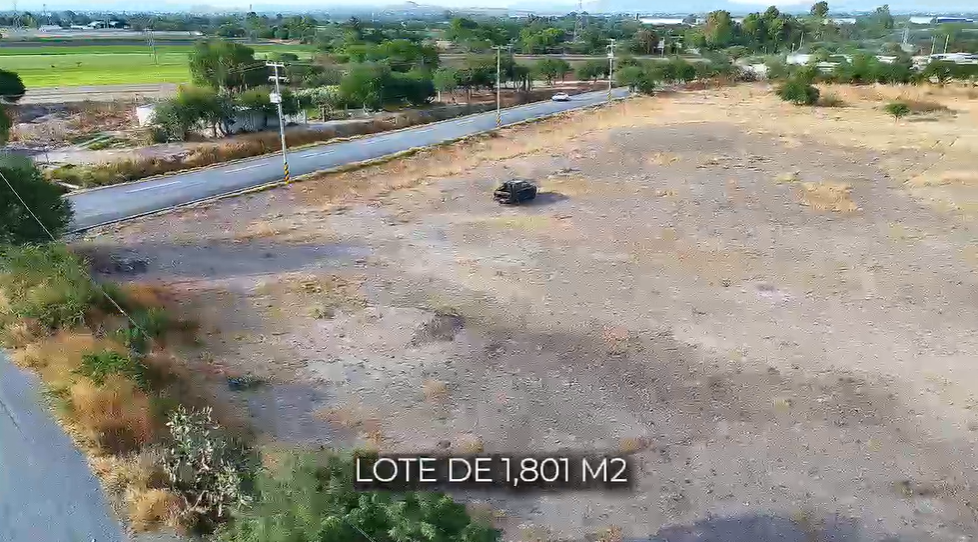 5 de 10