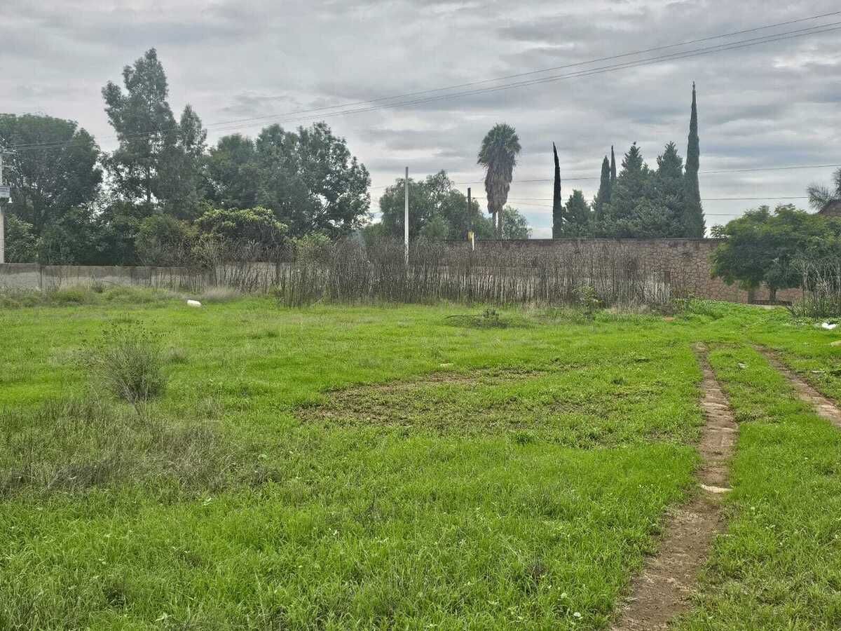 8 de 12