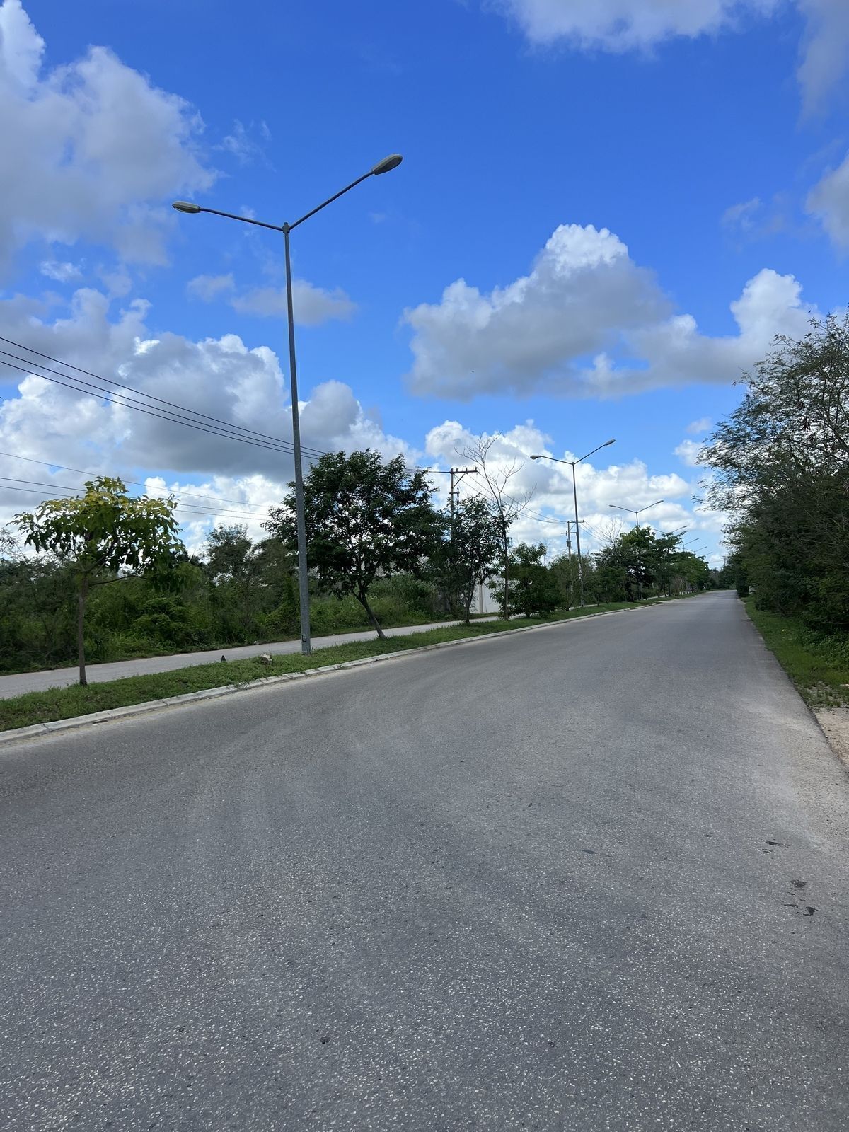 1 de 5