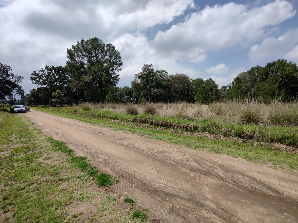 Terreno campestre con servicios cercanos.