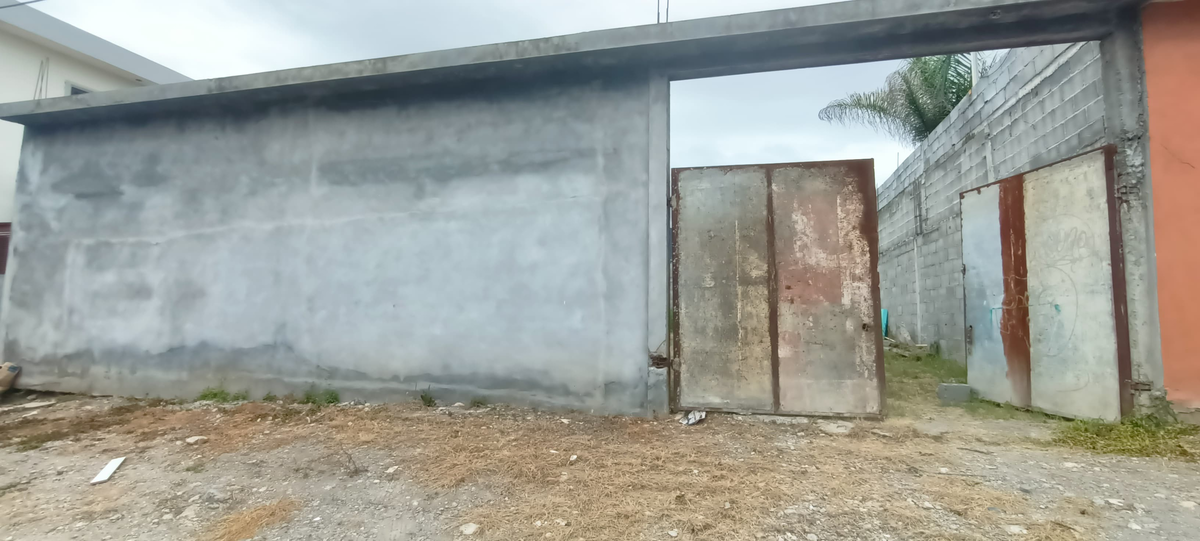 5 de 6