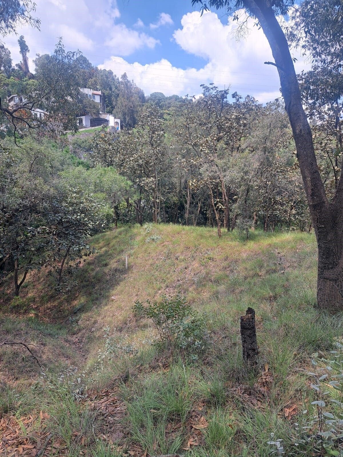 3 de 4