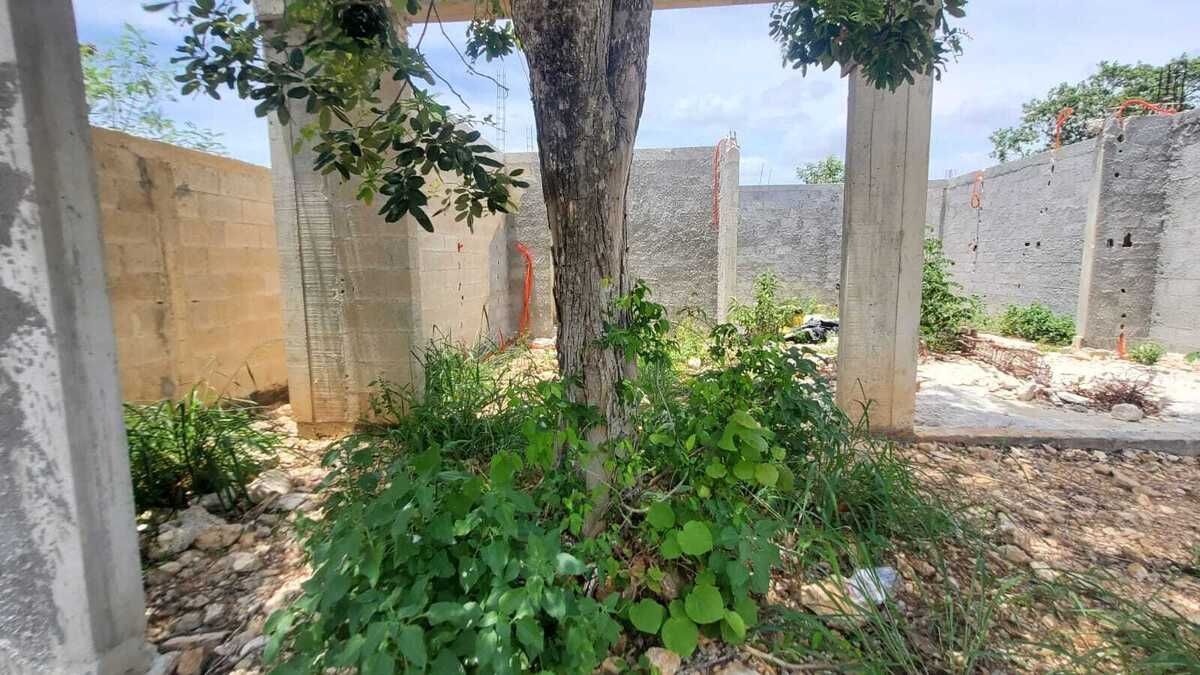 10 de 20
