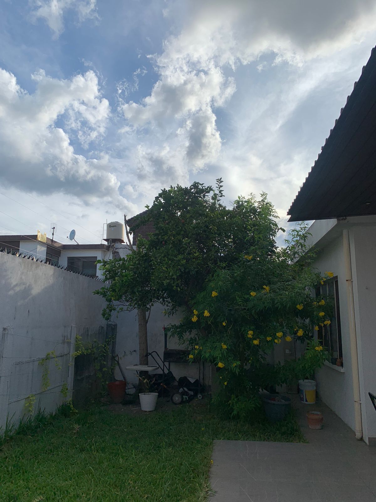 5 de 14