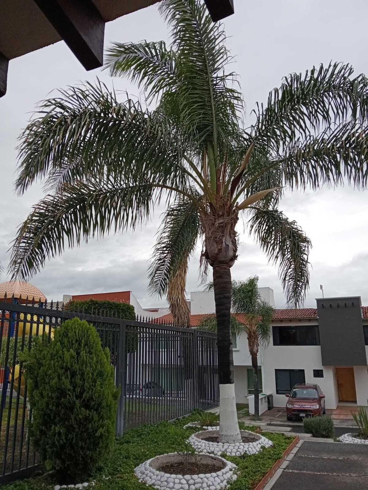 11 de 15