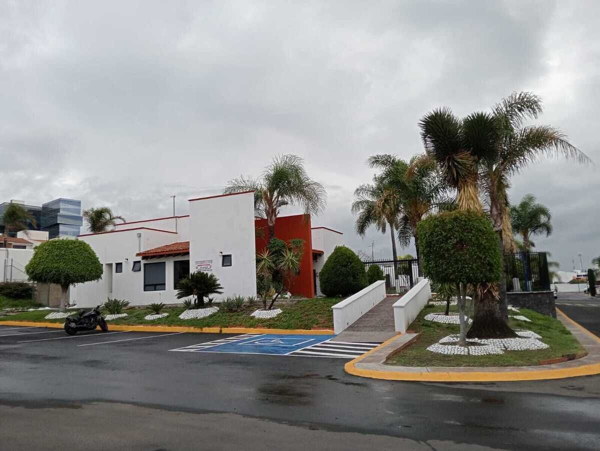 12 de 15