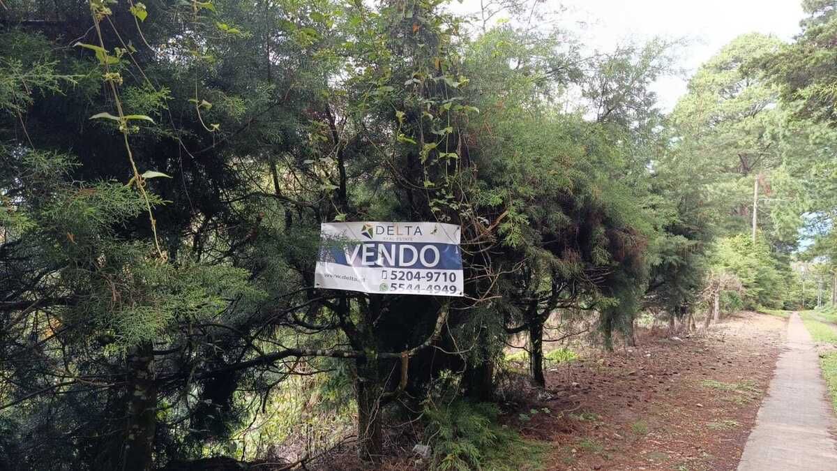 5 de 19