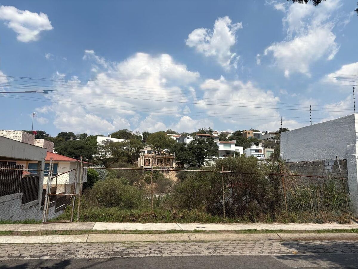 3 de 8