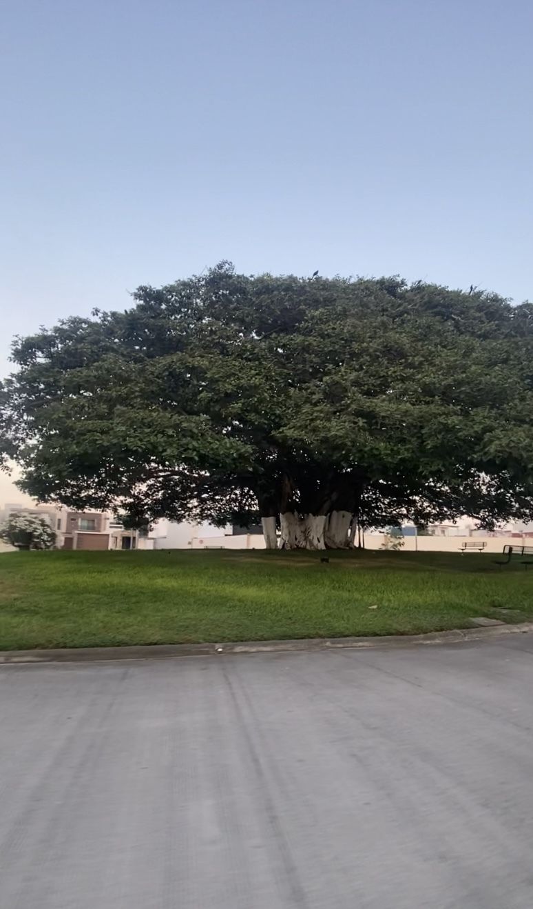 1 de 2