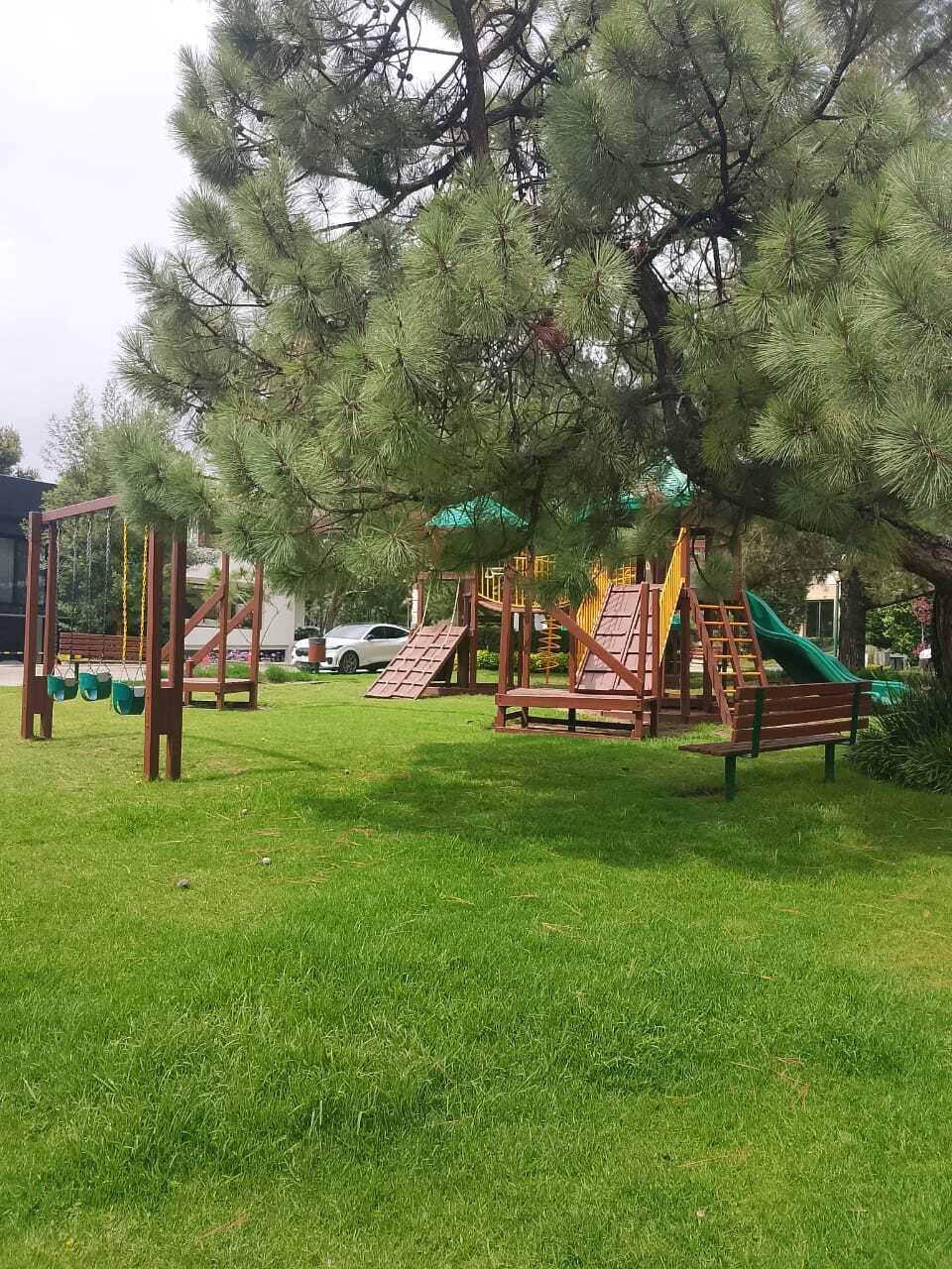 3 de 12