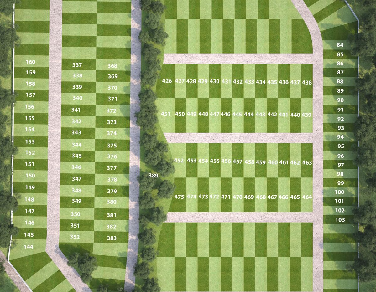 13 de 15