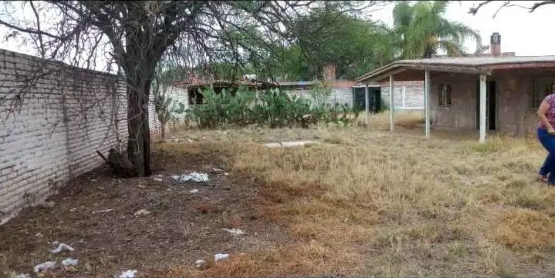 5 de 10