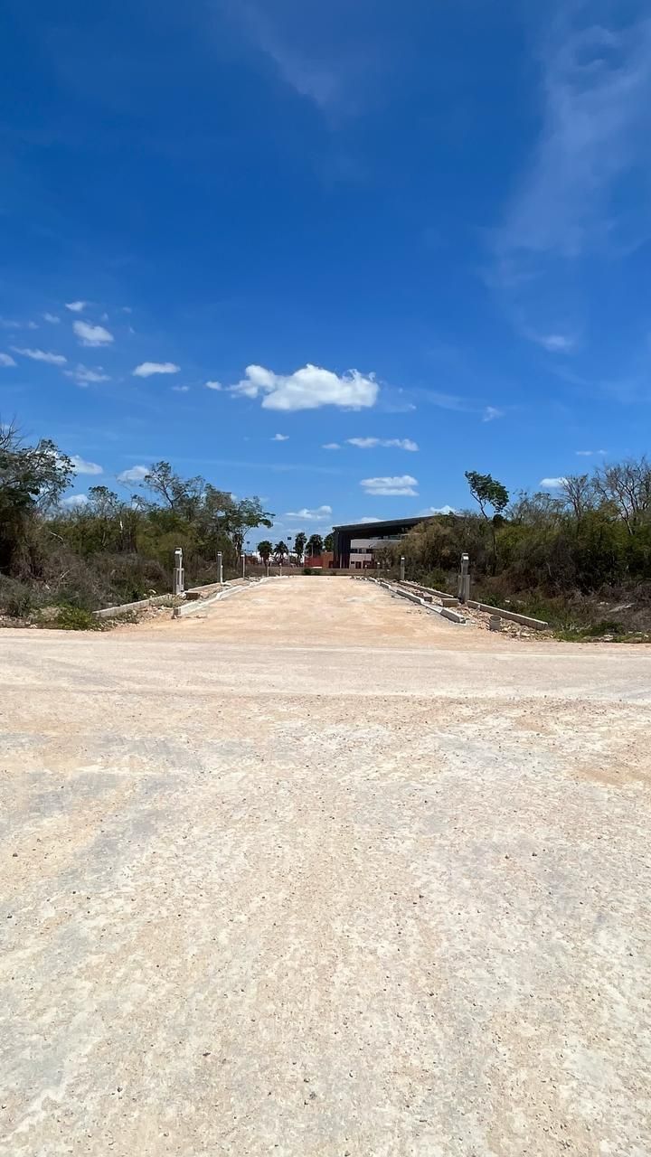 7 de 7