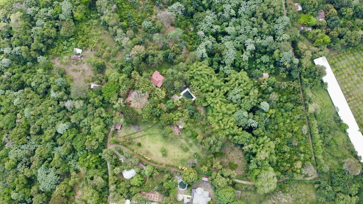 1 of 18: 45,236 m2 de terreno agrícola y casa de Veraneo