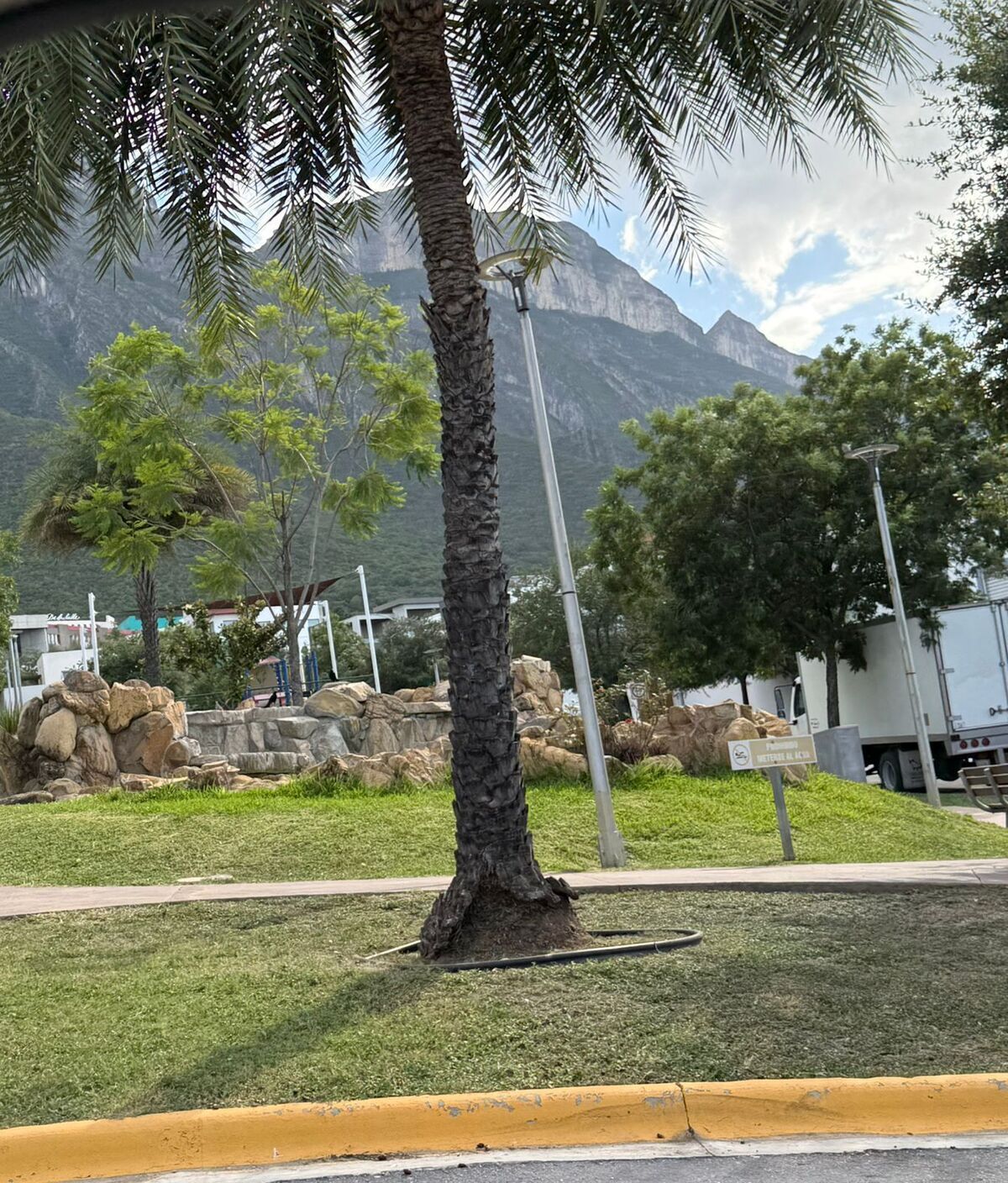 12 de 12