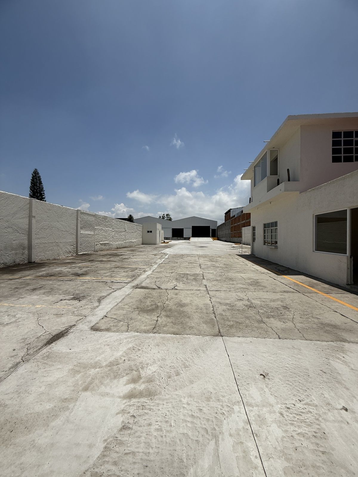 Imagen 3 de 10