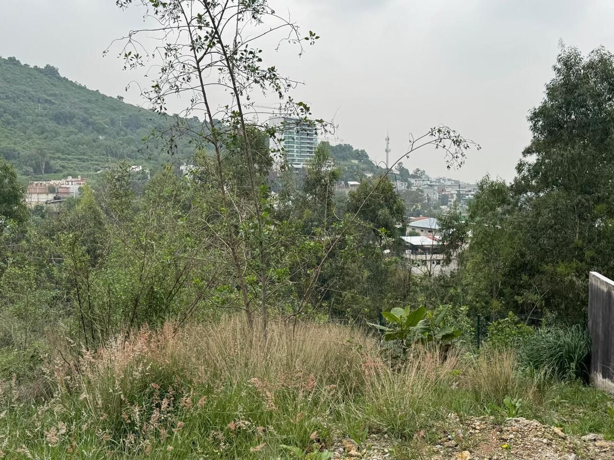 4 de 8