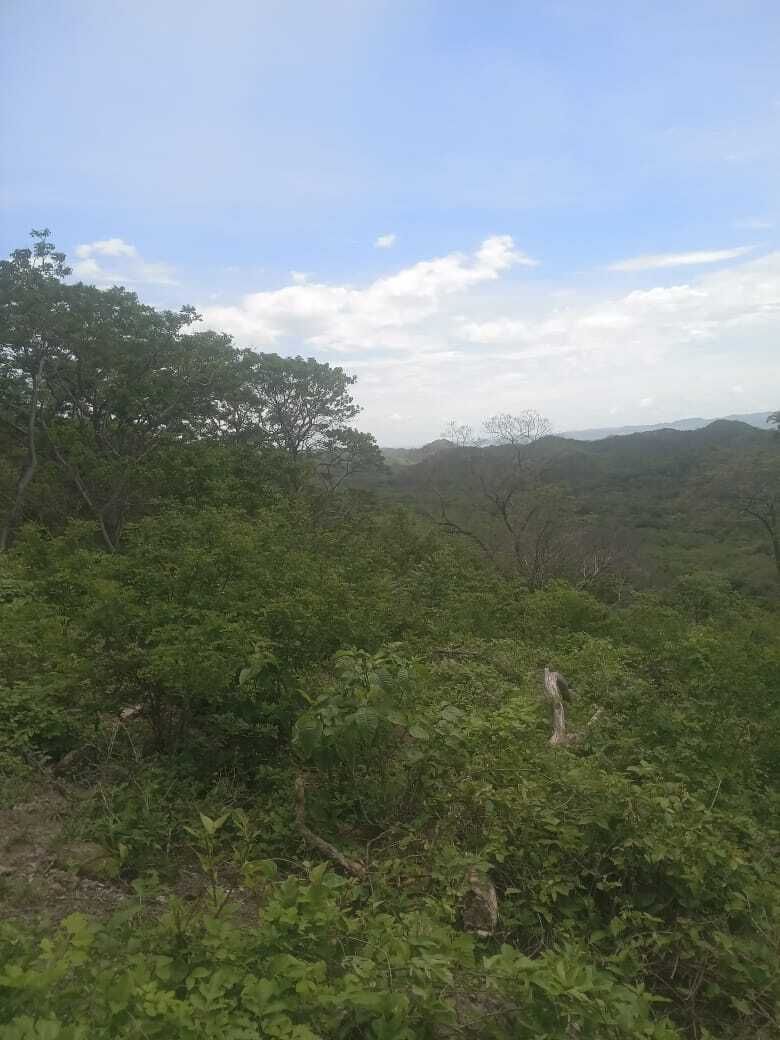 4 de 7