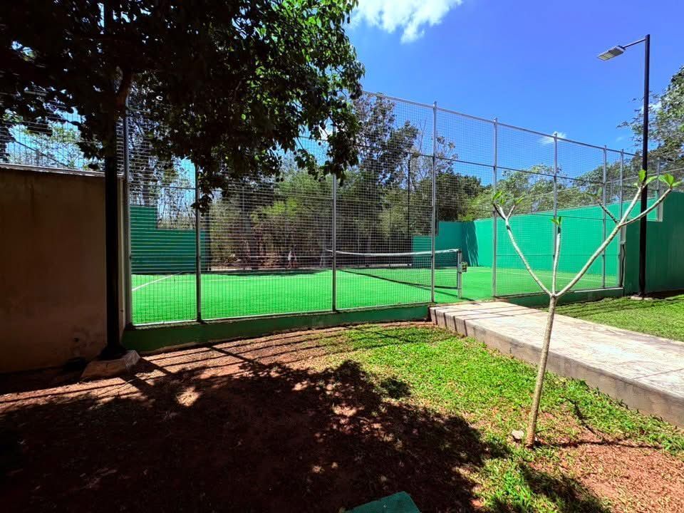 4 de 4