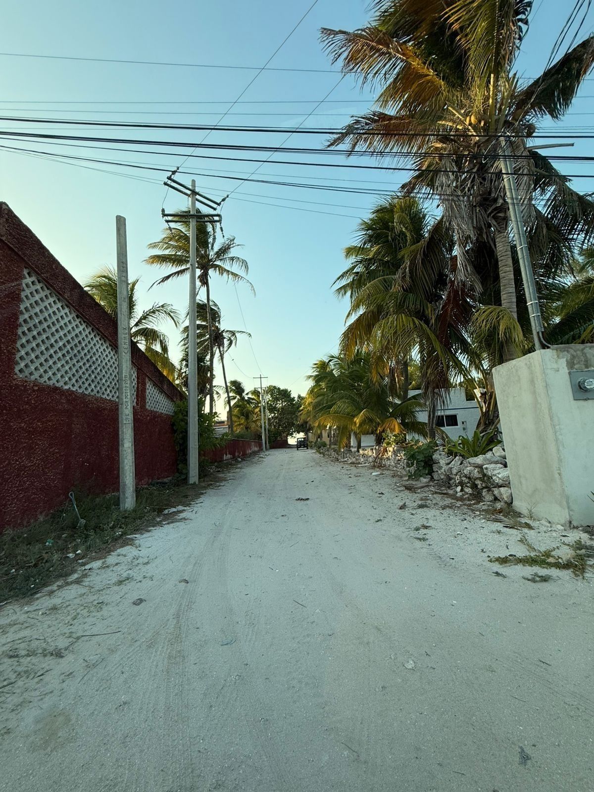 5 de 8