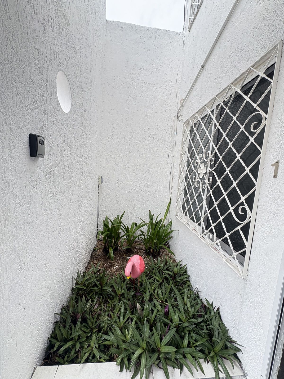 4 de 26: Jardín en la entrada al departamento