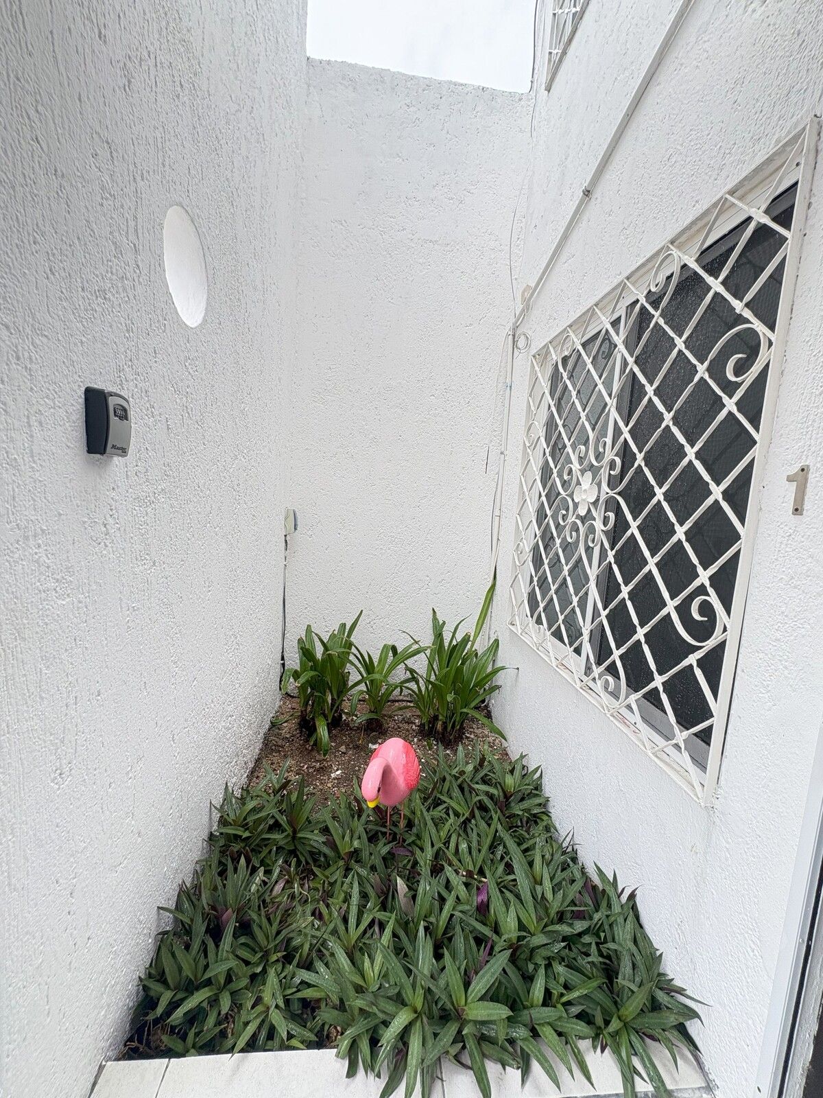 18 de 19: Entrada al departamento, jardín