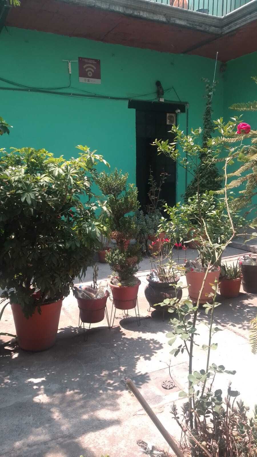 3 de 8