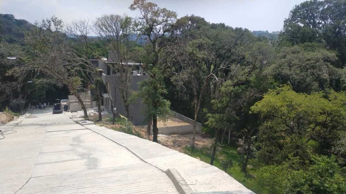 1 de 8