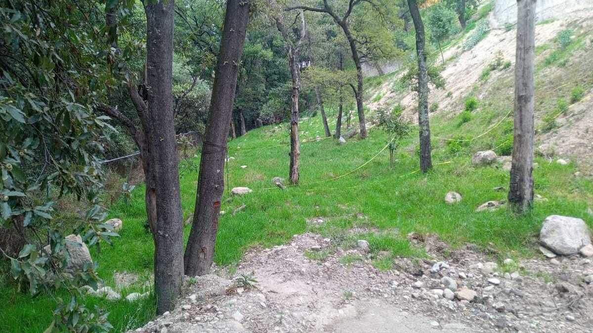 2 de 10