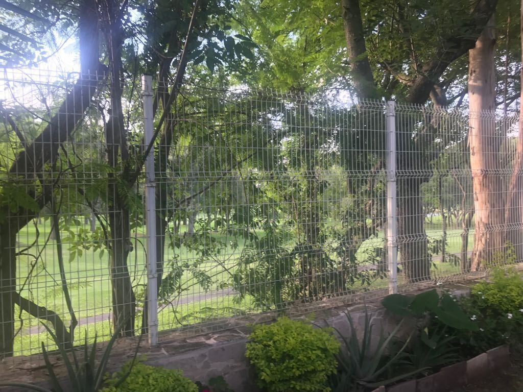 4 de 25