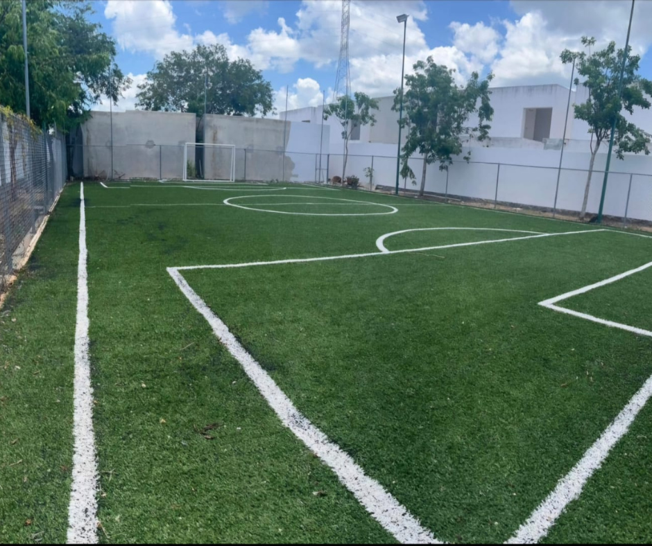 14 de 19