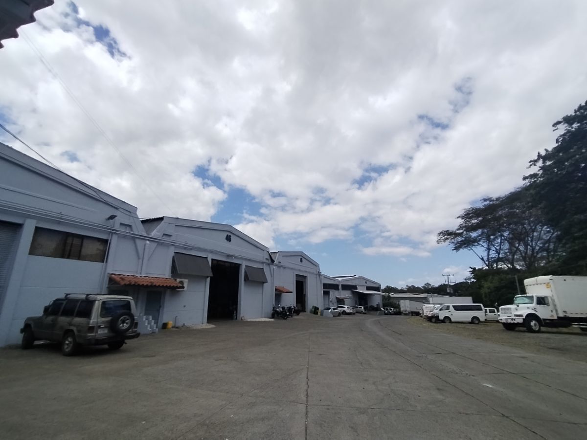 3 de 6